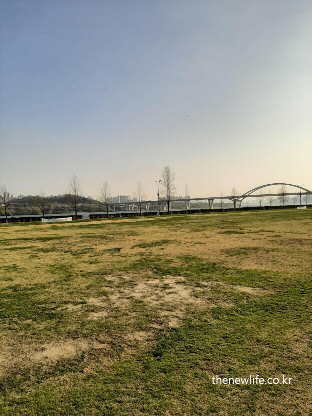 Wide lawn at Guri Hangang Park with calm morning atmosphere / 구리 한강시민공원 잔디밭의 고요한 아침 풍경- 잔디밭 어싱이 가능한 장소