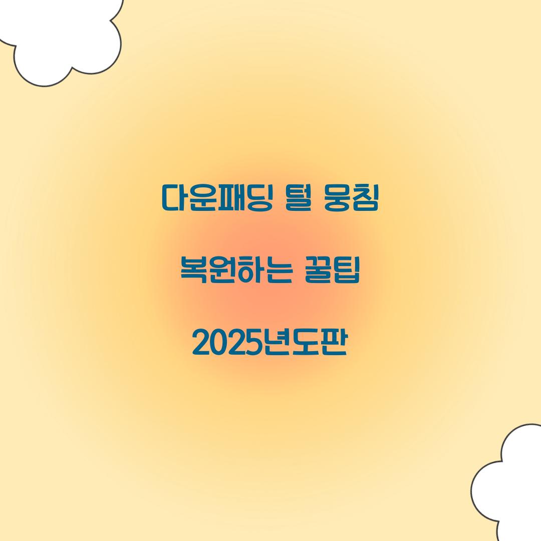다운패딩 털 뭉침 복원