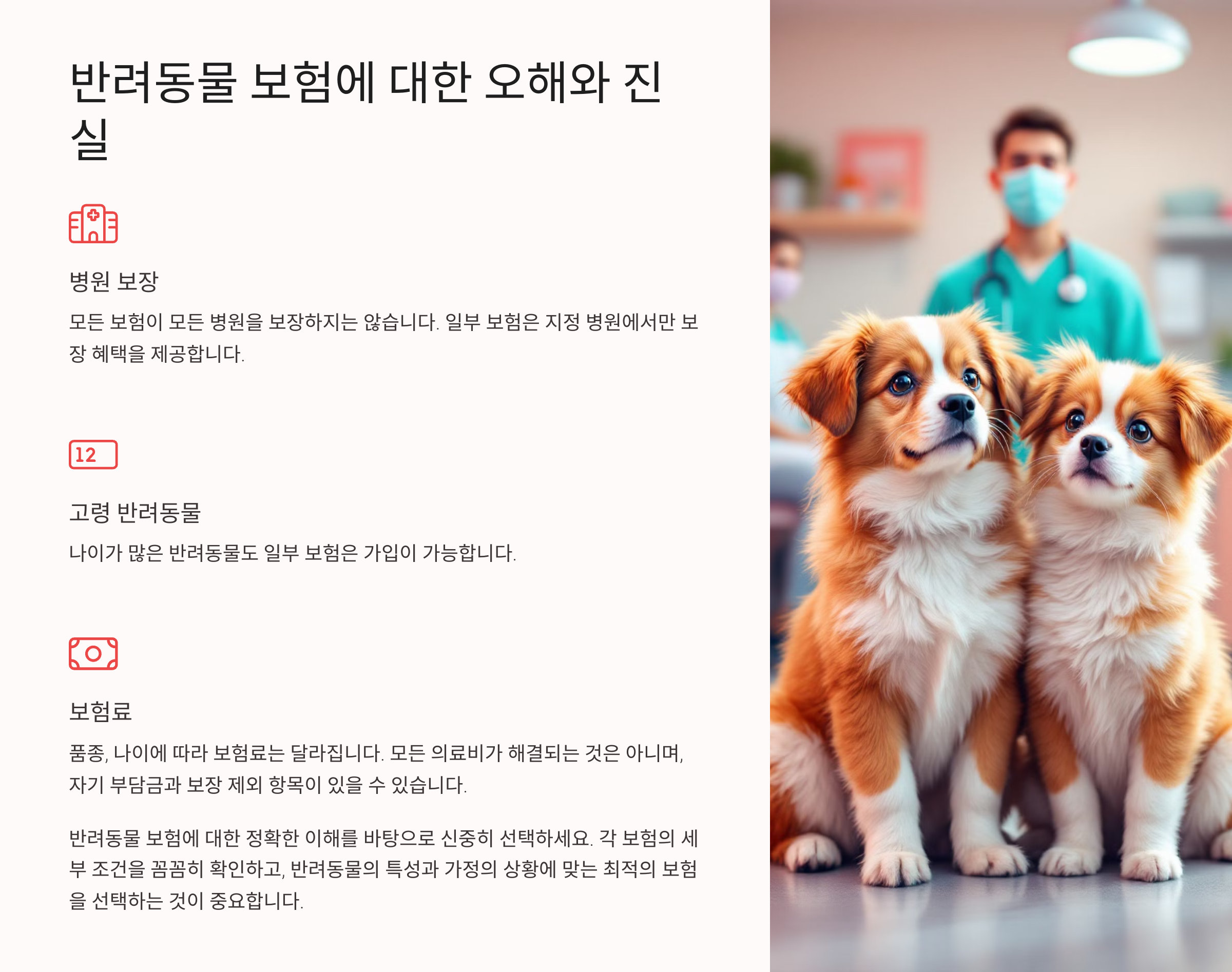 반려동물 보험에 대한 오해와 진실