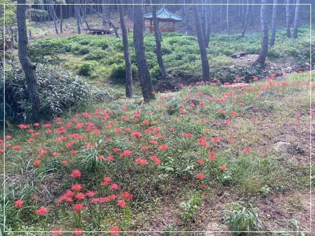 곡성 가볼만한곳 베스트10 동악산 하늘정원