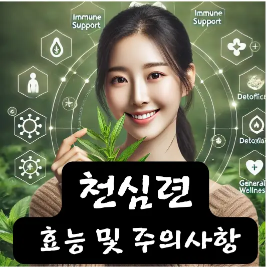 천심련