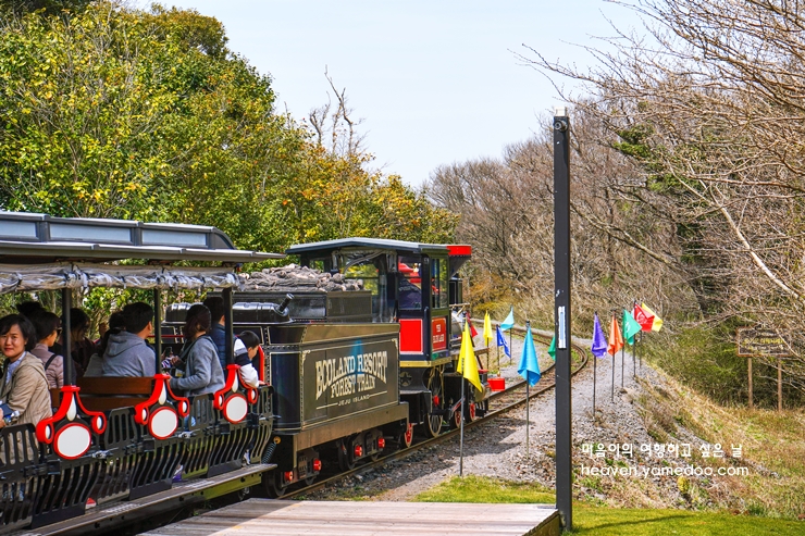 제주도 가볼만한곳 10곳