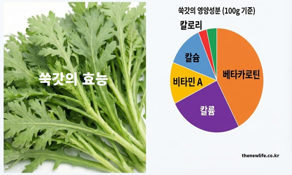 쑥갓의 효능을 극대화하는 다양한 영양 성분을 수치로 설명하는 이미지