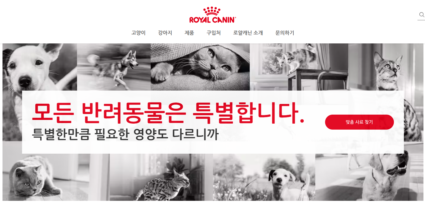 강아지 사료 추천 제품 10가지