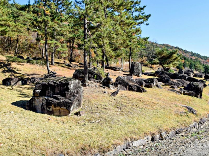 화순 고인돌 유적