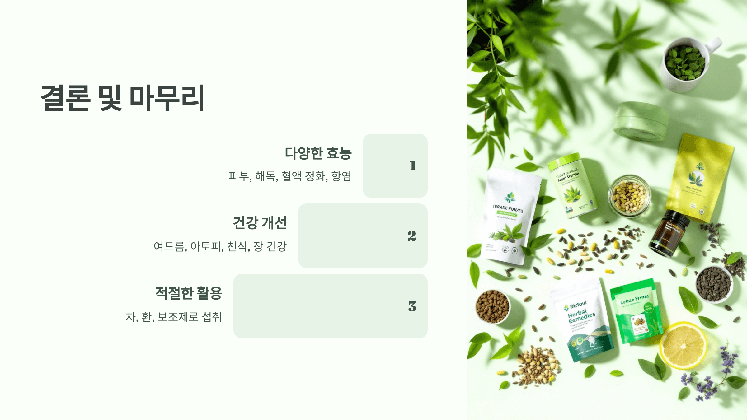 어성초 사진입니다.