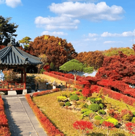 광양매화축제 주차장&amp;#44; 맛집&amp;#44; 입장료