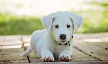 보습이 필요한 부위별 체크 관련 사진