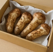 송이버섯 먹는법