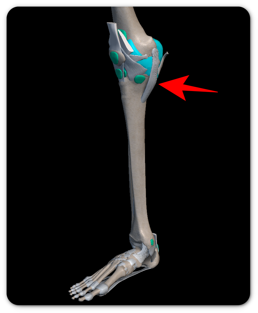 무릎 통증 원인 7가지 총정리