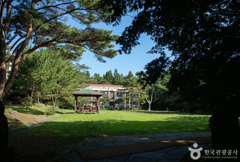 서귀포자연휴양림