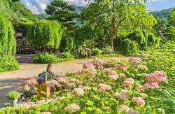 2024 화담숲 모노레일 예약방법 가을 단풍