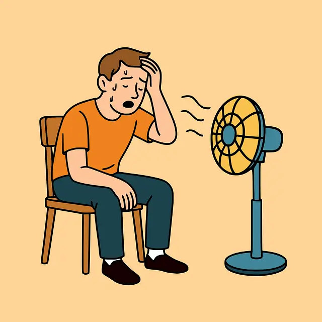 기력 회복에 필요한 영양제 