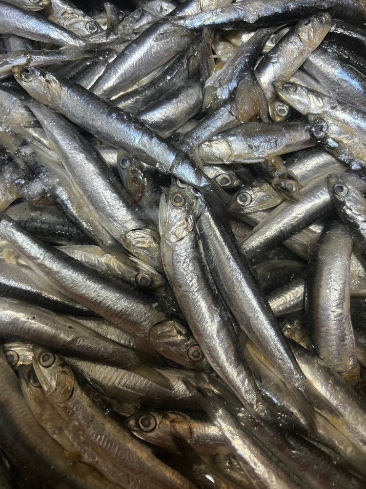 오늘N 멸치쌈밥 12000원 판교 맛집 11