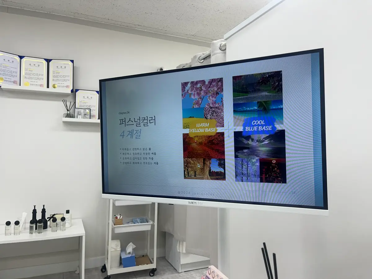 주니크컬러-교육