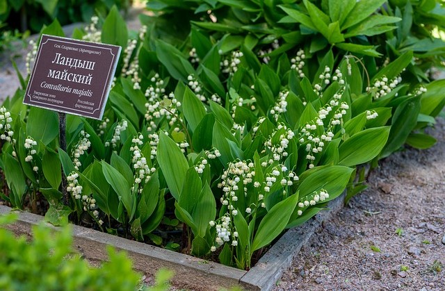 ์๋ฐฉ์ธ๊ฝ ํฌํ