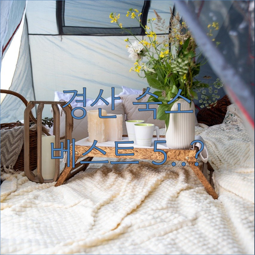 경산 숙소 베스트 5 단체 가족 여행..