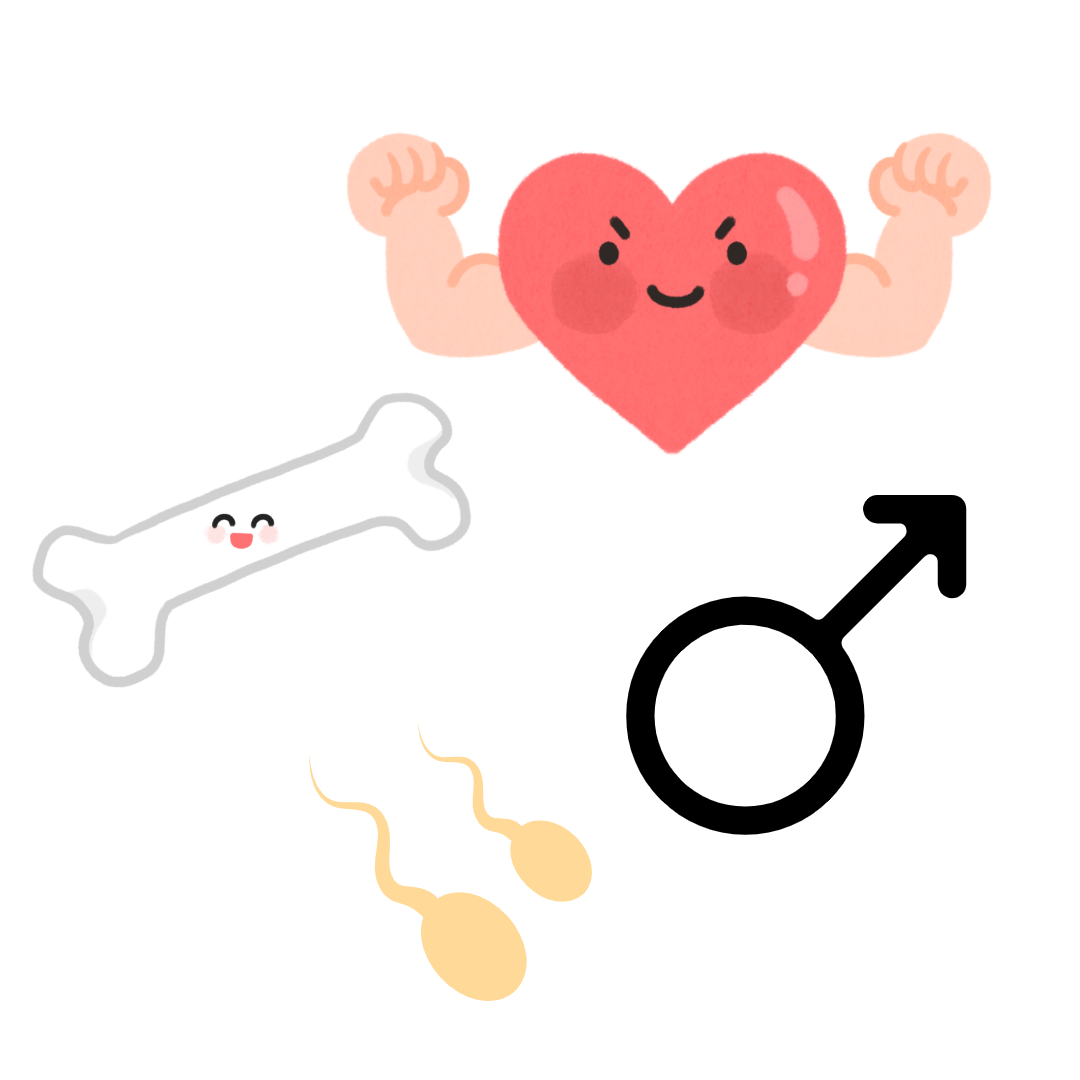 호두의 효능_ 심혈관 건강, 뼈건강, 정자 건강