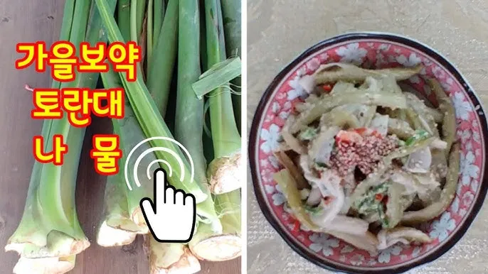토란대 손질방법 말리는 방법을 정리_6