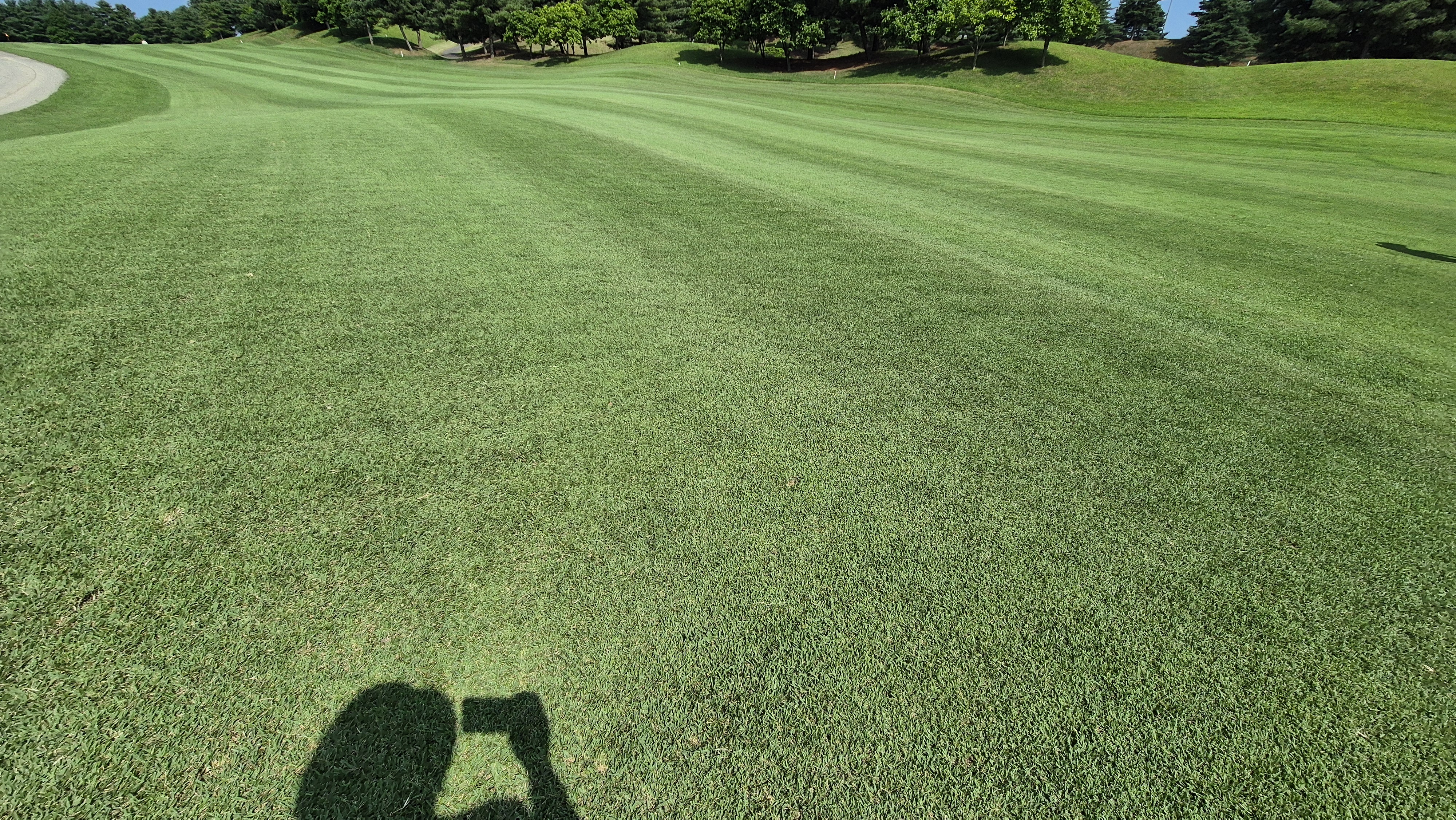 태광cc 북-서 코스 라운드 후기