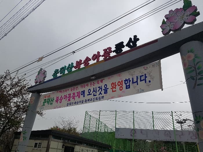 [4월 축제]서울근교 봄꽃 축제❘부천 춘덕산 복숭아꽃 축제❘복숭아꽃 개화가 절정이에요. 맛집 추천