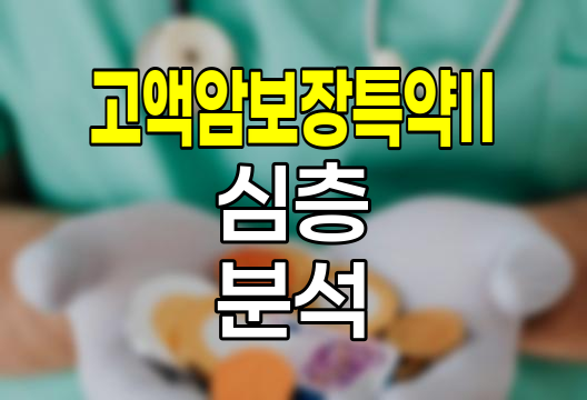 흥국생명 고액암보장특약Ⅱ 심층 분석