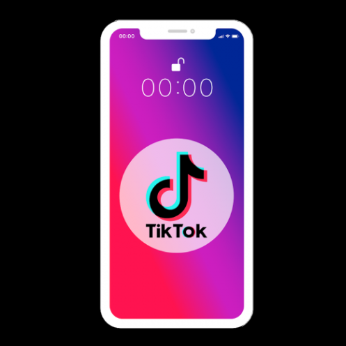 틱톡 (TikTok )