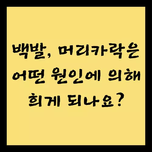 머리카락이 희게 되는 이유