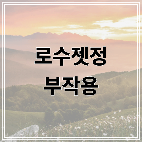 로수젯정 부작용