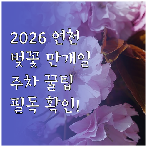2026 연천 벚꽃 개화 시기 만개일..