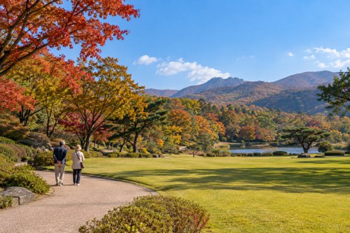 파주 인삼축제 가을 공원을 걷는 어르신 부부