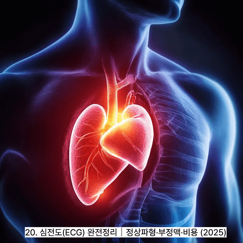 20. 심전도(ECG) 완전정리｜정상파형&middot;부정맥&middot;비용 (2025)