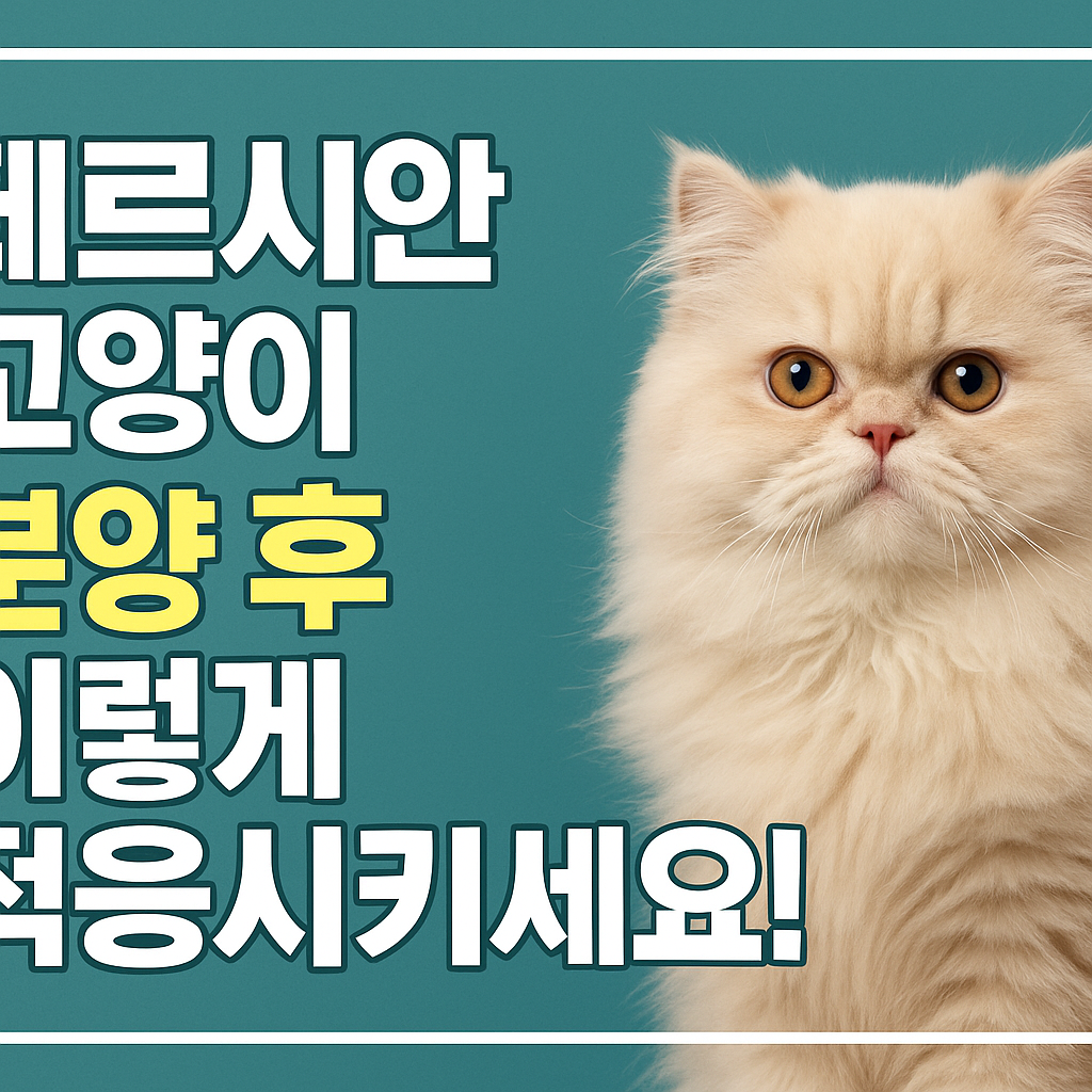 페르시안 고양이