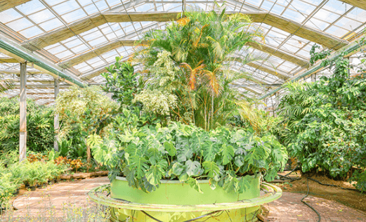 아산 세계꽃식물원