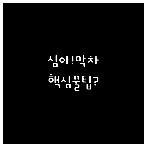 심야 2시 30분까지 보신각 행사 대..