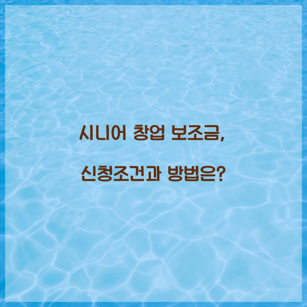 시니어 창업 보조금