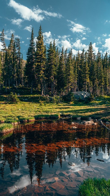 농촌 지역에서 온라인 직거래 판매 시작하기