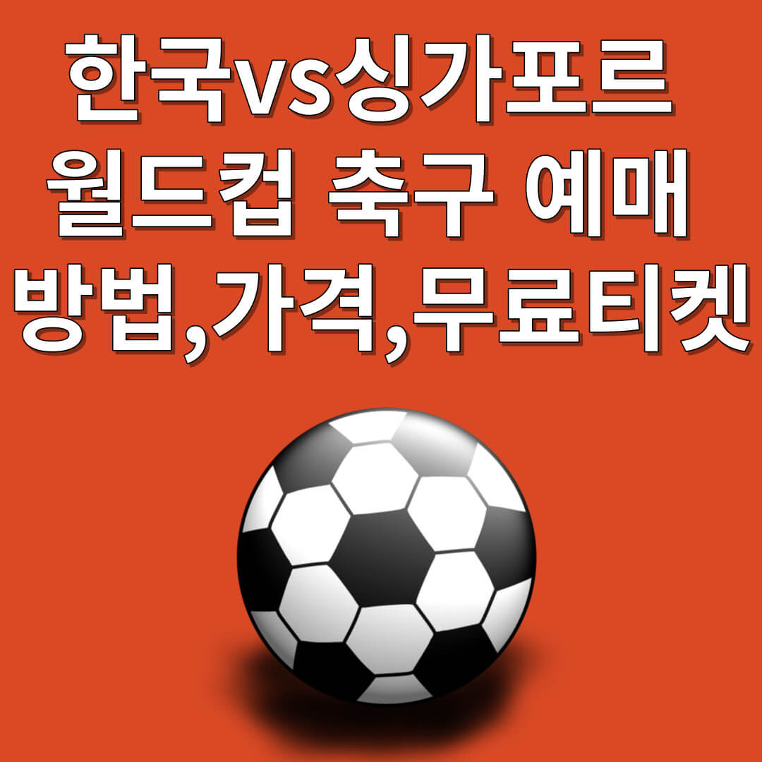 대한민국 싱가포르 월드컵 축구 예매 방법