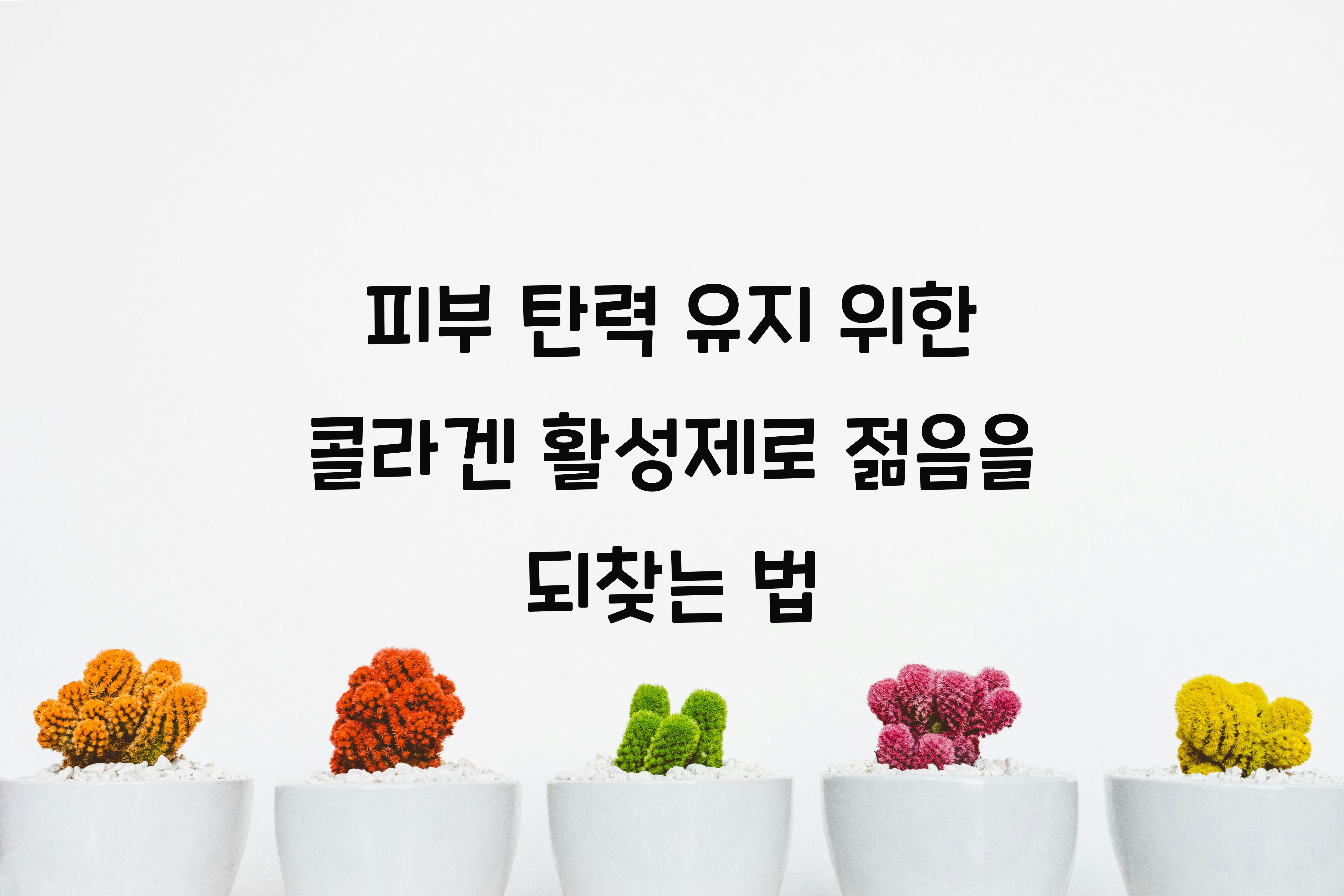 피부 탄력 유지 위한 콜라겐 활성제