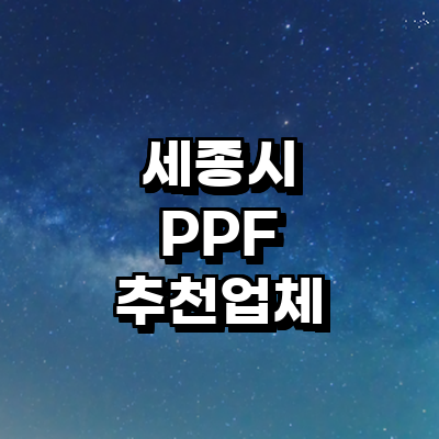 세종시 ppf