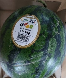 수박달인의수박