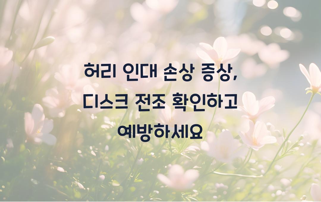 허리 인대 손상 증상, 디스크 전조 증상일까? 확인하세요!