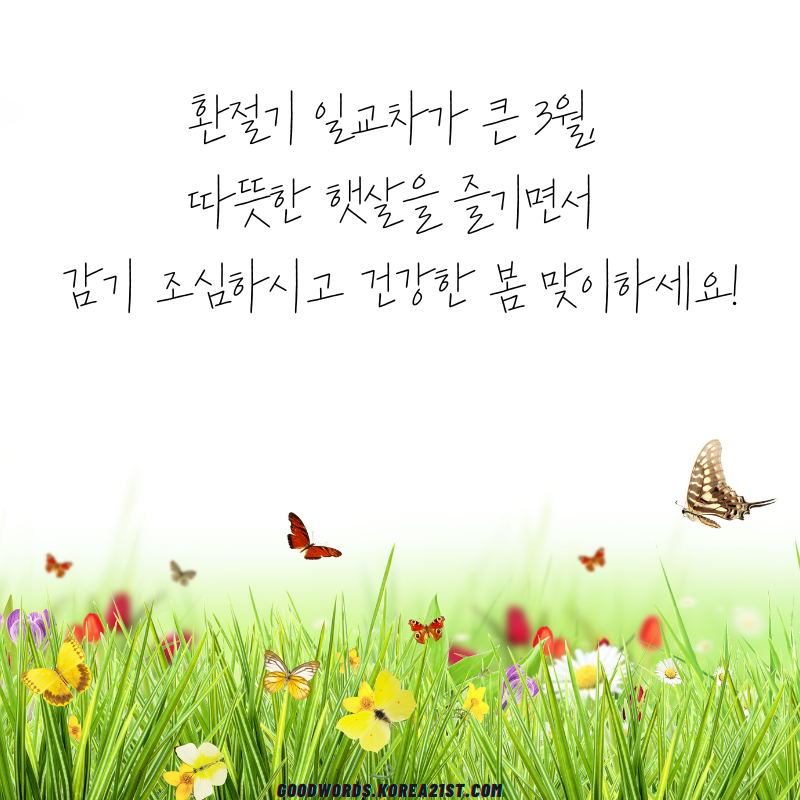 3월 인사말 문구 이미지 모음집