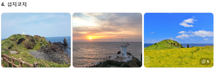 렌터카보다 효율적인 제주 관광택시, 중형&middot;대형 제주택시투어 비교! 1일 코스별 예산 가이드