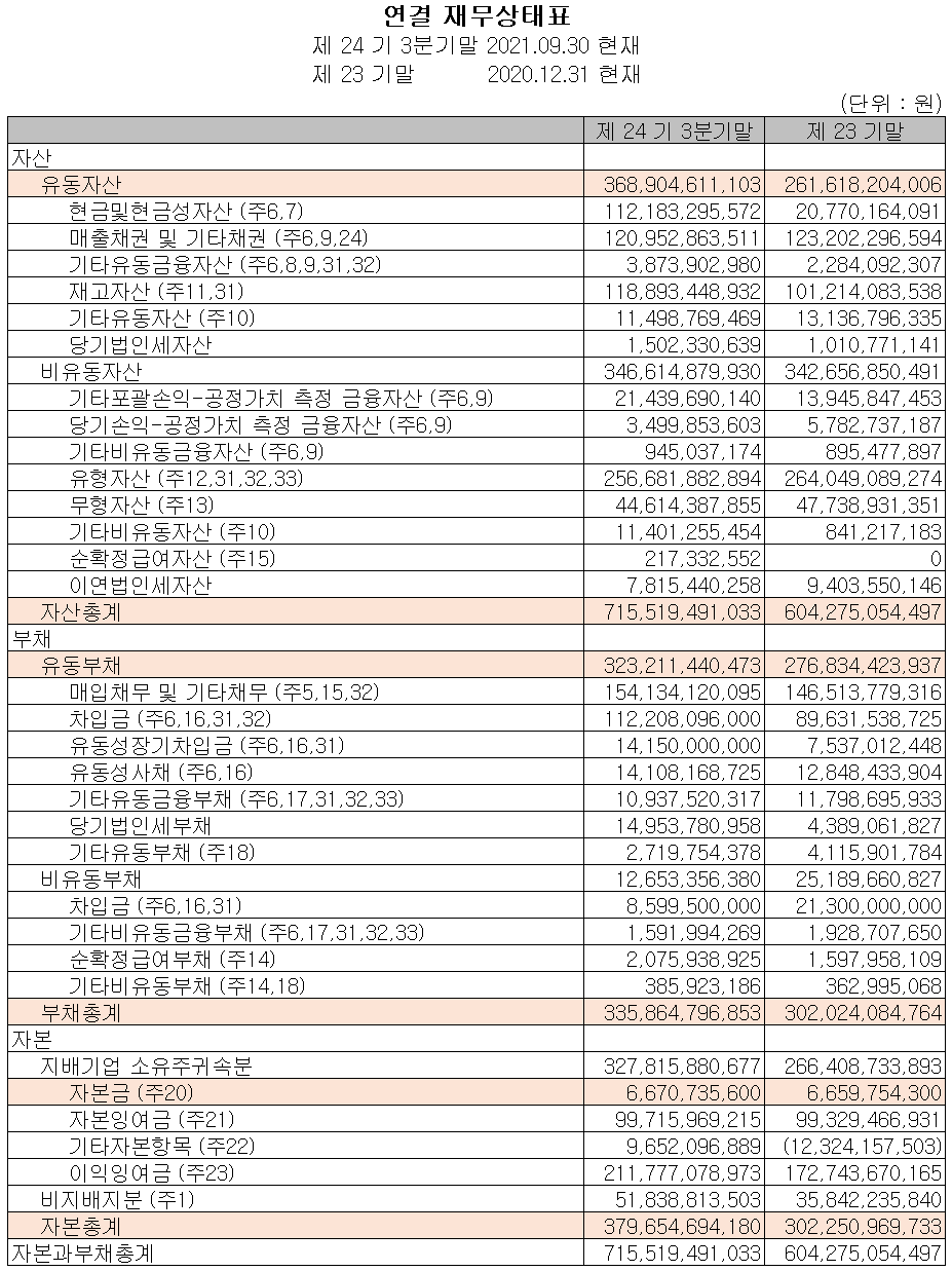 (주)드림텍 재무상태표