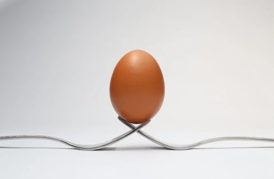 계란 보관 방법