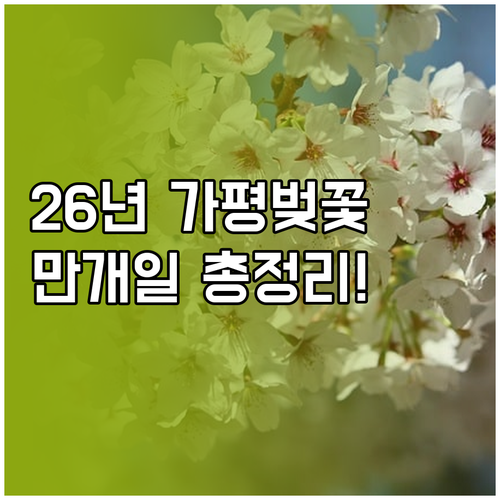 2026 가평 벚꽃 축제 일정과 명소..