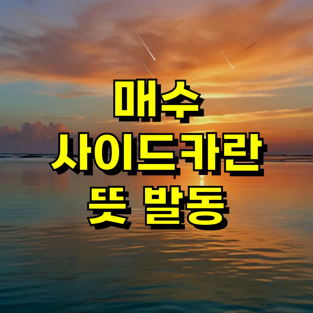매수 사이드카란 뜻 발동