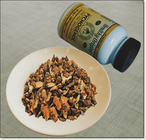 해송 껍질 피크노제놀