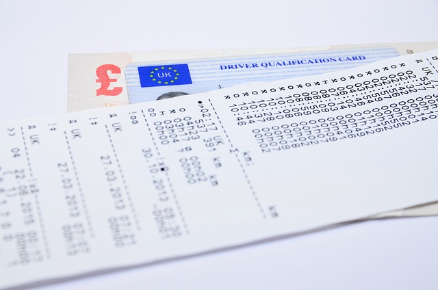 [국제운전면허증 vs 국내면허] 해외 운전 시 필수 조건은?